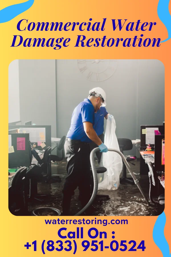 Commercial Water Damage Restoration in Hagan, GA