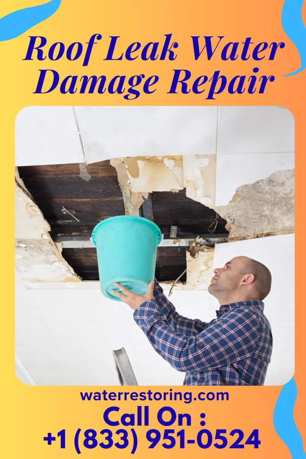 Roof Leak Water Damage Repair in Hagan, GA